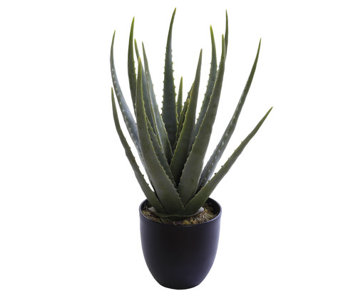 Planta Permanente Aloe Vera Verde, Verde | WestwingNow