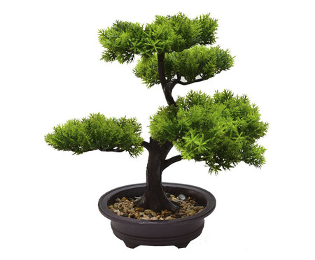 Adorno Bonsai