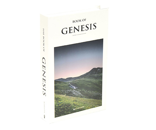 Book Box Genesis, Branco | WestwingNow