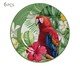 Jogo de Pratos para Pão Macaw, Colorido | WestwingNow