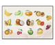 Tapete para Cozinha Fruits, Colorido | WestwingNow