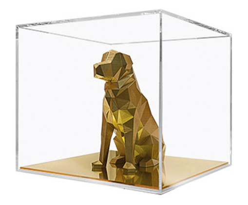 Golden Retriever Dourado, Colorido | WestwingNow