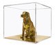 Golden Retriever Dourado, Colorido | WestwingNow