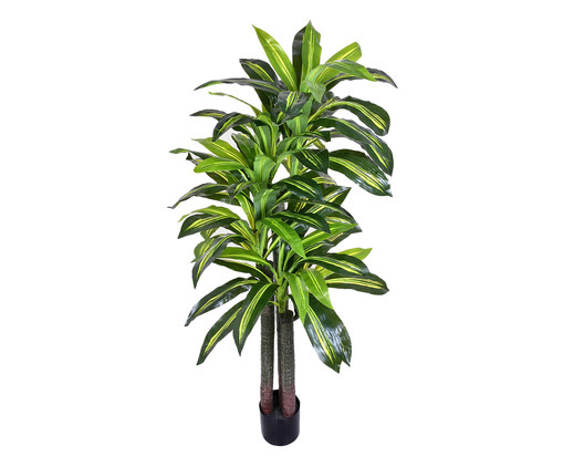 Planta Permanente Dracena Verde III, Colorido | WestwingNow