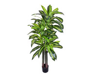 Planta Permanente Dracena Verde III | WestwingNow