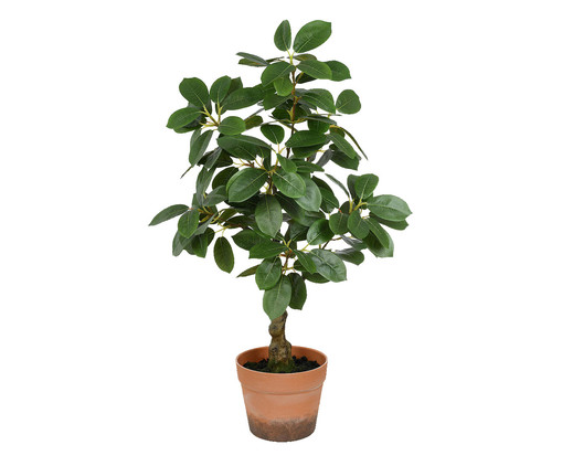 Planta Permanente Ficus Virens 3D Verde, Colorido | WestwingNow