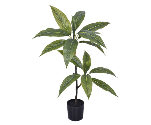 Planta Permanente Dracena Verde II, Colorido | WestwingNow