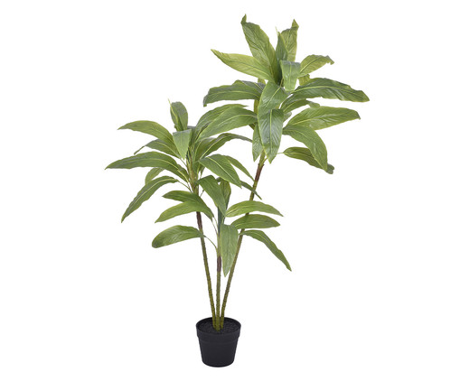 Planta Permanente Dracena Verde, Colorido | WestwingNow