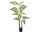 Planta Permanente Diffenbachia Creme Verde, Colorido | WestwingNow