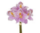 Planta Permanente Ramalhete Cymbidium Lilas, Colorido | WestwingNow