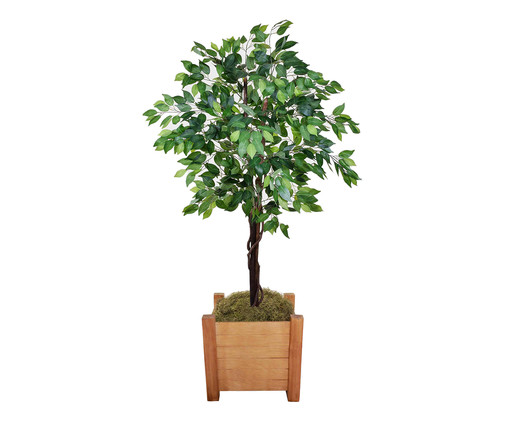 Planta Permanente Ficus Verde, Colorido | WestwingNow