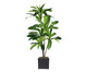 Planta Permanente Dracena Verde I, Colorido | WestwingNow