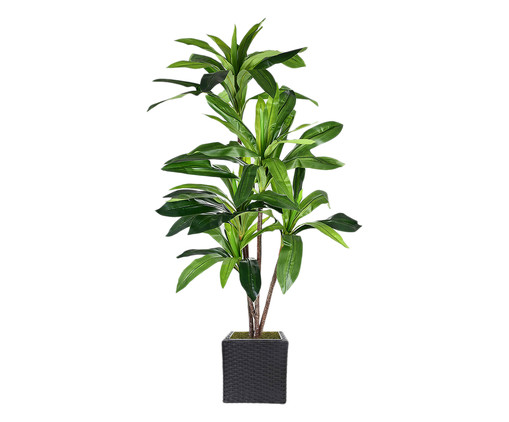 Planta Permanente Dracena Verde I, Colorido | WestwingNow