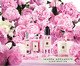 Peony & Blush Suede Cologne - 30ml, Transparente | WestwingNow