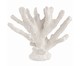 Escultura Coral ll - Branco, Branco | WestwingNow