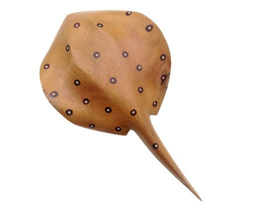 Arraia Amazônica de Madeira e Médio Marchetaria Clara, Natural | WestwingNow