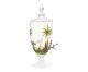Suqueira com Pé Palm Tree Handpaint, Transparente | WestwingNow