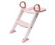 Assento Redutor com Escada Rosa Baby, Colorido | WestwingNow