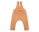 Jardineira Listras Mostarda e Off-White, Colorido | WestwingNow