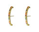 Brinco Ear Hook Fino Cravejado Rainbow Columbus Gold, multicolor | WestwingNow