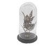 Adorno Folhagem com Redoma - Bronze, Bronze | WestwingNow