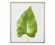 Quadro Folha Joy, Colorido | WestwingNow