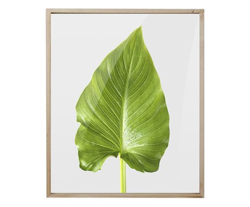Quadro Folha Joy, Colorido | WestwingNow