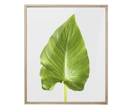 Quadro Folha Joy | Westwing