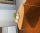 Mesa de Centro Orgânica Hanover e Dourado, multicolor | WestwingNow