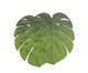 Jogo de Lugares Americano Garden Leaf, Verde | WestwingNow