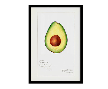 Quadro Avocado Vintage A2 com Moldura Preta