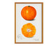 Quadro Laranja Vintage A2 com Moldura em Madeira, Laranja | WestwingNow