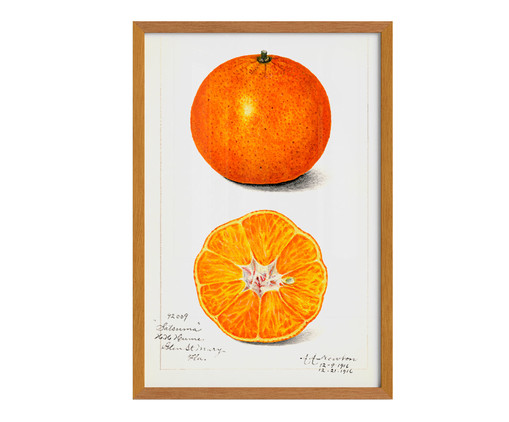 Quadro Laranja Vintage A2 com Moldura em Madeira, Laranja | WestwingNow