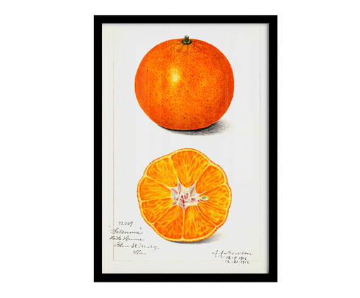 Quadro Laranja Vintage A3 com Moldura Preta, Laranja | WestwingNow