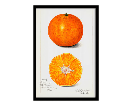 Quadro Laranja Vintage A3 com Moldura Preta