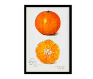 Quadro Laranja Vintage A3 com Moldura Preta | WestwingNow