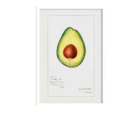 Quadro Avocado Vintage A3 com Moldura Branca