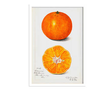 Quadro Laranja Vintage A3 com Moldura Branca