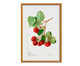 Quadro Framboesa Vintage A3 com Moldura em Madeira, Vermelho | WestwingNow