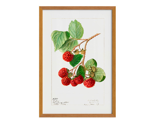 Quadro Framboesa Vintage A3 com Moldura em Madeira, Vermelho | WestwingNow