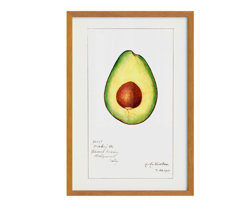 Quadro Avocado Vintage A2 com Moldura em Madeira, Verde | WestwingNow