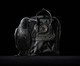 Kånken No. 2 Black Preto, Preto | WestwingNow