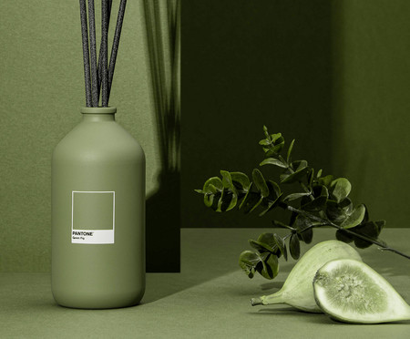Difusor de Perfume Green Fig Pantone 220ml | WestwingNow