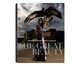 Livro 
