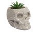 Vaso com Planta Skull And Dots Cinza e Branco, white | WestwingNow