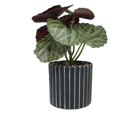 Vaso com Planta Folhagem My Garden Canelado Preto | Westwing