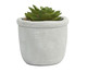 Vaso com Planta Hearts Flowers Cinza e Branco, white | WestwingNow