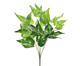 Planta Permanente Pothos - Verde, Verde | WestwingNow