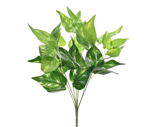 Planta Permanente Pothos - Verde, Verde | WestwingNow