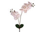 Planta Permanente Haste Orquídea com Folhas Branco, Branco | WestwingNow